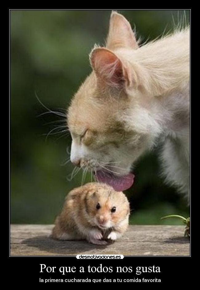 carteles todos desmotivaciones