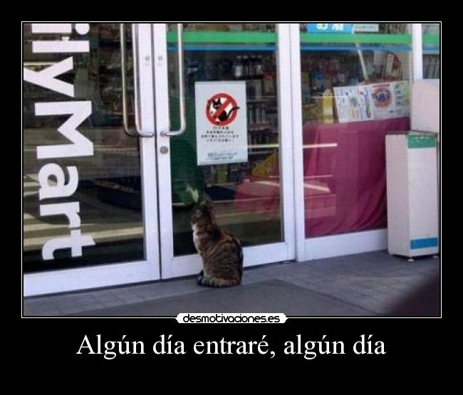 Algún día entraré, algún día -