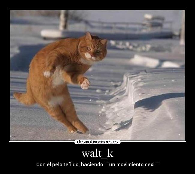 walt_k - Con el pelo teñido, haciendo ¨¨un movimiento sexi¨¨