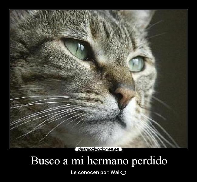 Busco a mi hermano perdido - Le conocen por: Walk_t