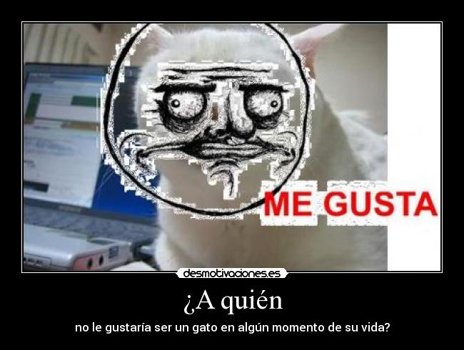 ¿A quién -