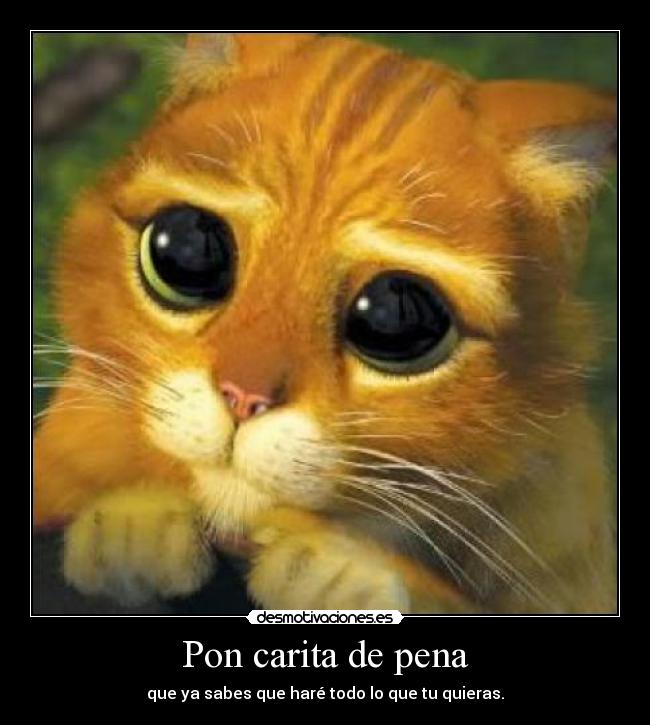 Pon carita de pena -