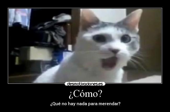 ¿Cómo? - ¿Qué no hay nada para merendar?