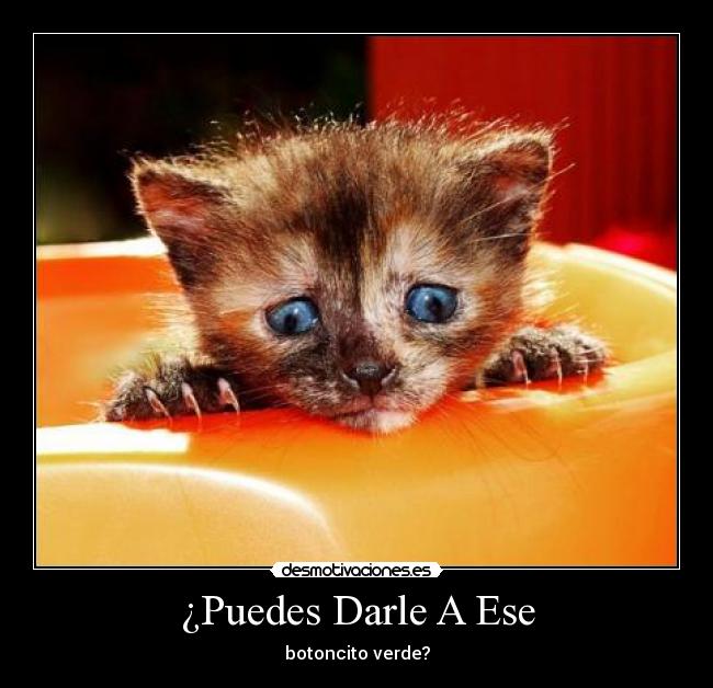 ¿Puedes Darle A Ese -