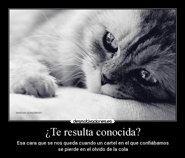 ¿Te resulta conocida? - 