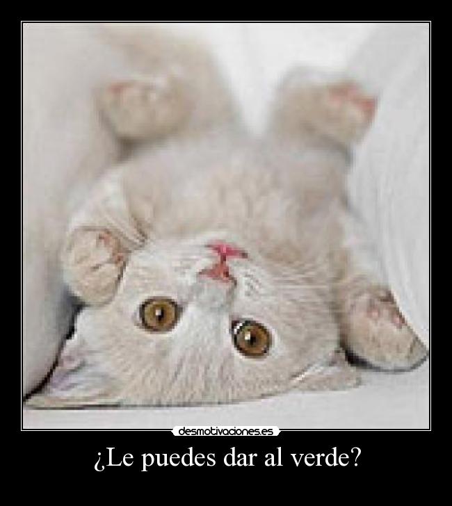 ¿Le puedes dar al verde? -