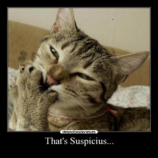 Thats Suspicius... -