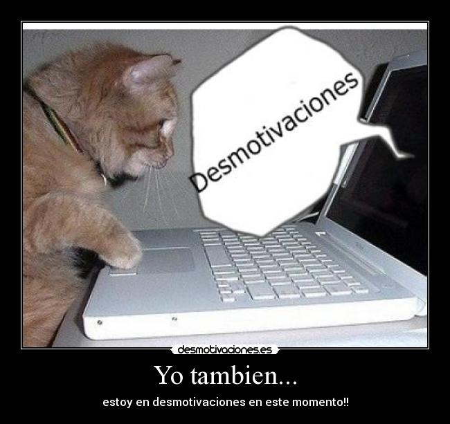 Yo tambien... - estoy en desmotivaciones en este momento!!