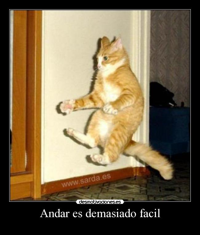 Andar es demasiado facil -