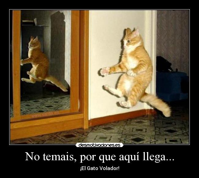No temais, por que aquí llega... -