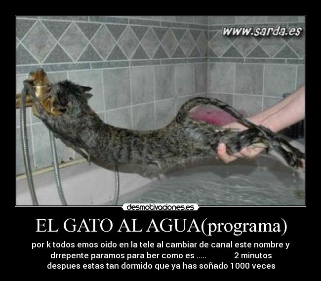 EL GATO AL AGUA(programa) -