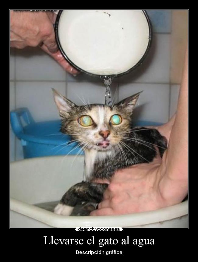 Llevarse el gato al agua -