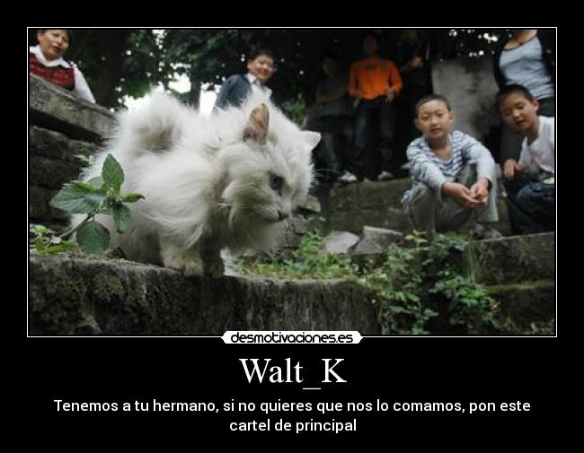 Walt_K -
