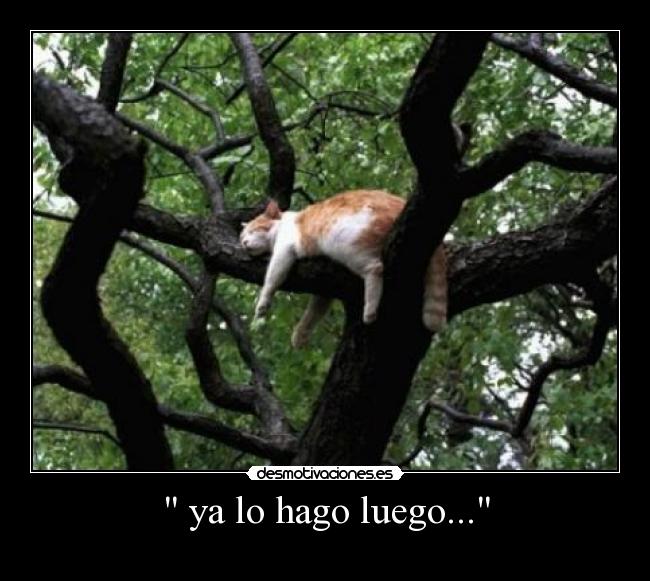 ya lo hago luego... -