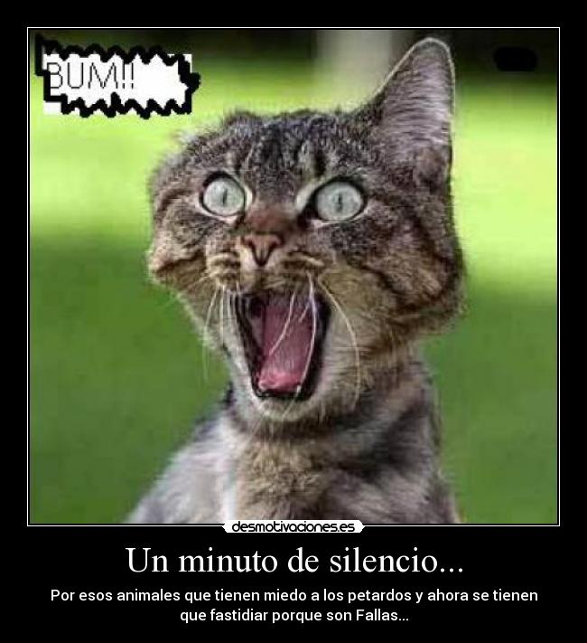 Un minuto de silencio... - Por esos animales que tienen miedo a los petardos y ahora se tienen
que fastidiar porque son Fallas...