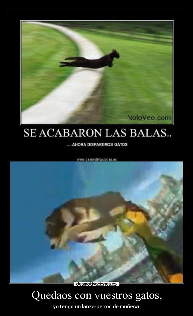 Quedaos con vuestros gatos, - 