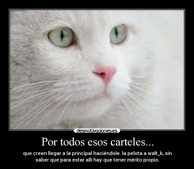 Por todos esos carteles... - 