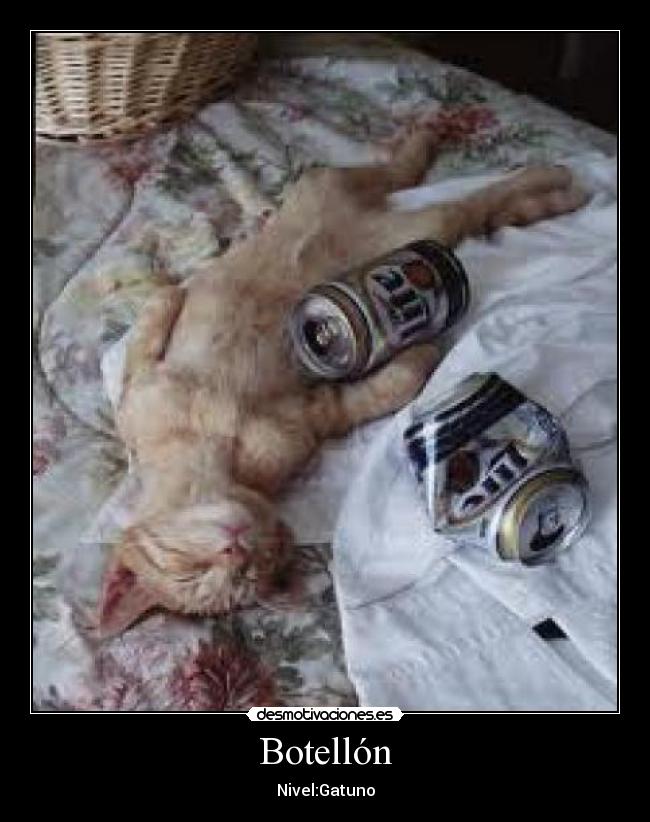 Botellón - Nivel:Gatuno