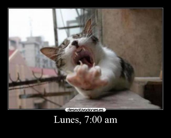 carteles carlitolove desmotivaciones