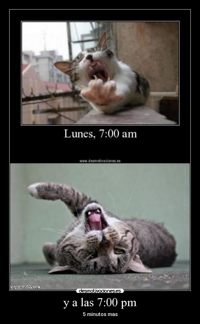 y a las 7:00 pm - 5 minutos mas