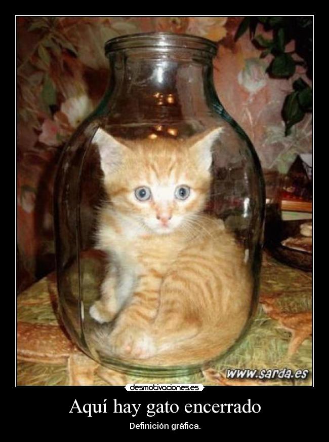 Aquí hay gato encerrado -