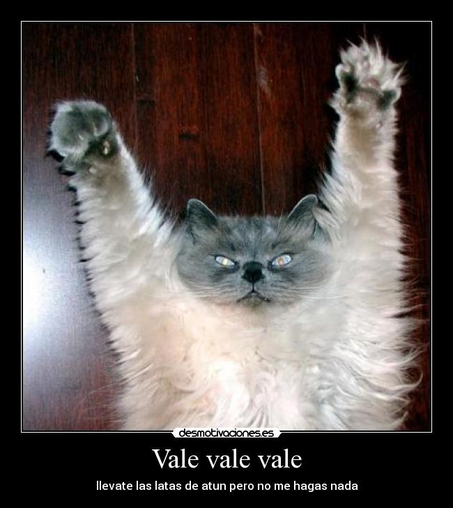 Vale vale vale -