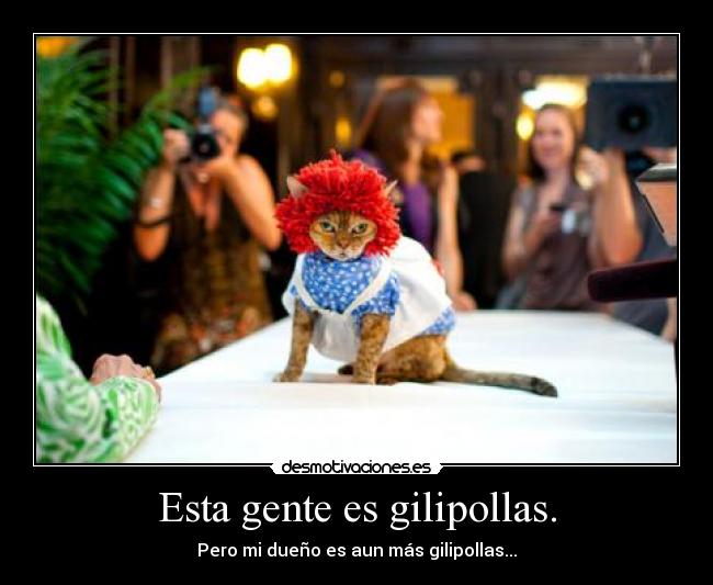 Esta gente es gilipollas. - Pero mi dueño es aun más gilipollas...