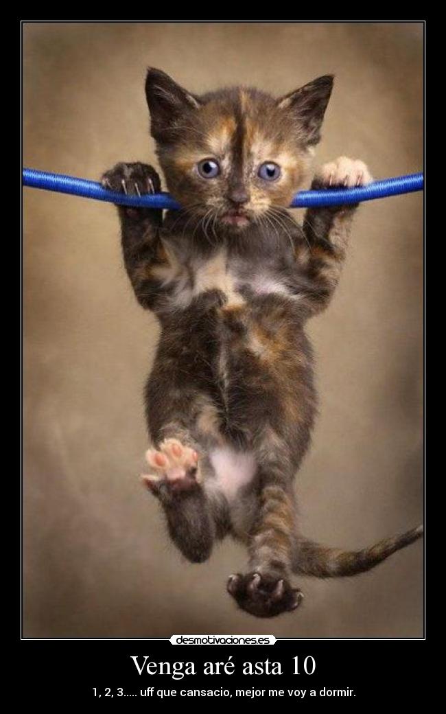 Venga aré asta 10 - 1, 2, 3..... uff que cansacio, mejor me voy a dormir.