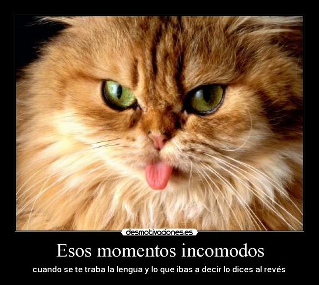 carteles esos momentos incomodos desmotivaciones