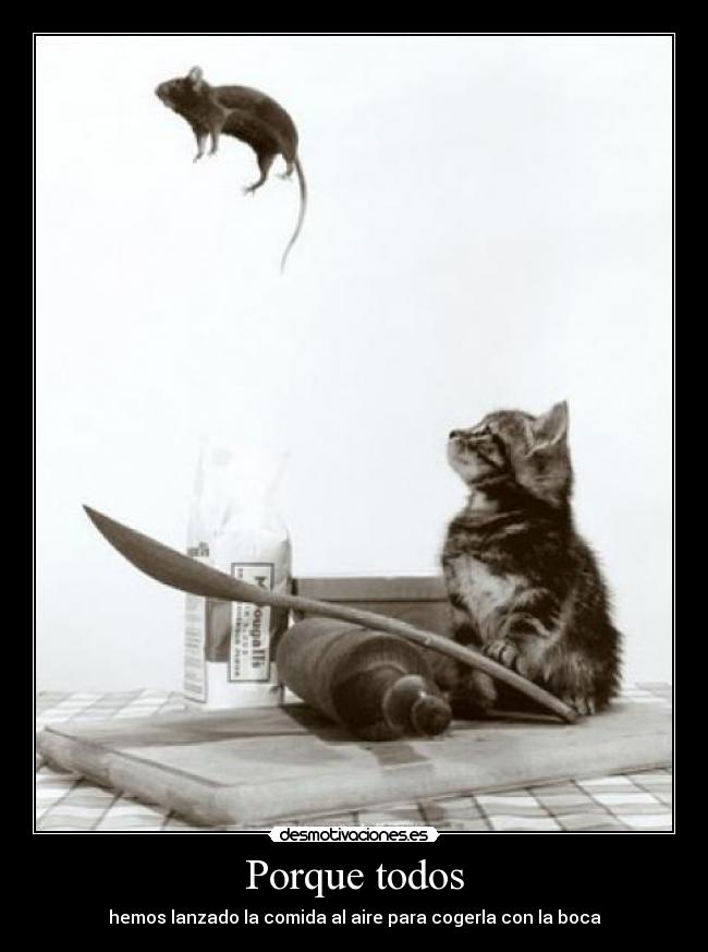 Porque todos - hemos lanzado la comida al aire para cogerla con la boca