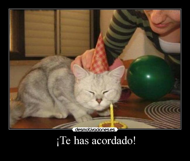 ¡Te has acordado! - 
