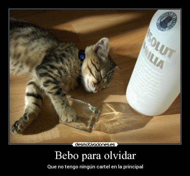 Bebo para olvidar - 