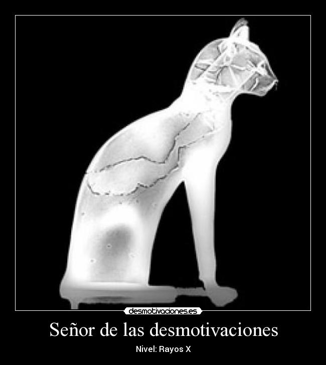 Señor de las desmotivaciones - 