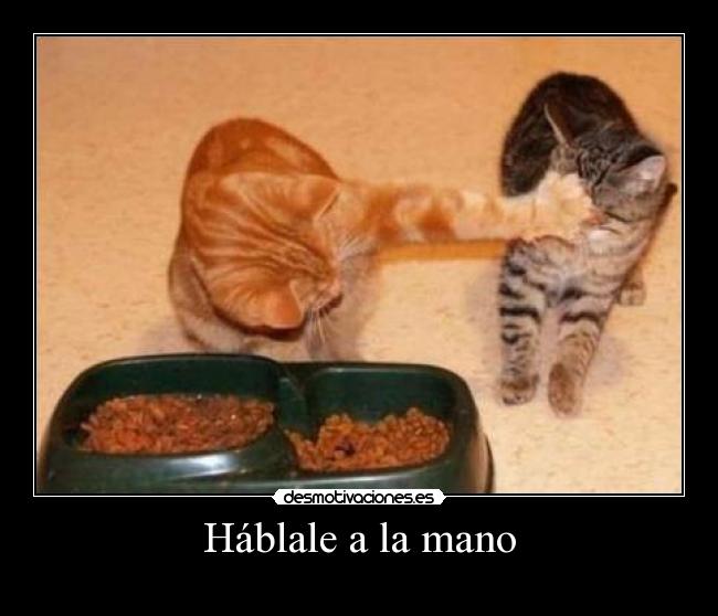 carteles hablale mano desmotivaciones