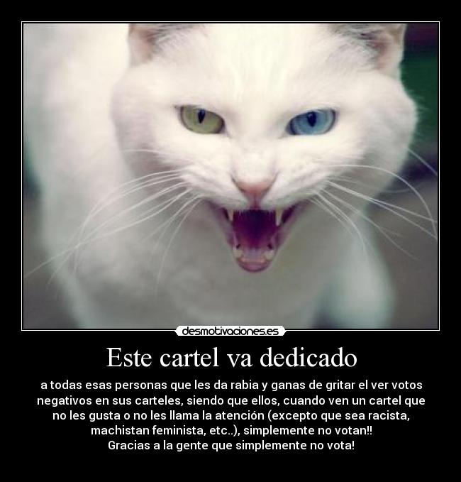 Este cartel va dedicado - a todas esas personas que les da rabia y ganas de gritar el ver votos
negativos en sus carteles, siendo que ellos, cuando ven un cartel que
no les gusta o no les llama la atención (excepto que sea racista,
machistan feminista, etc..), simplemente no votan!!
Gracias a la gente que simplemente no vota!