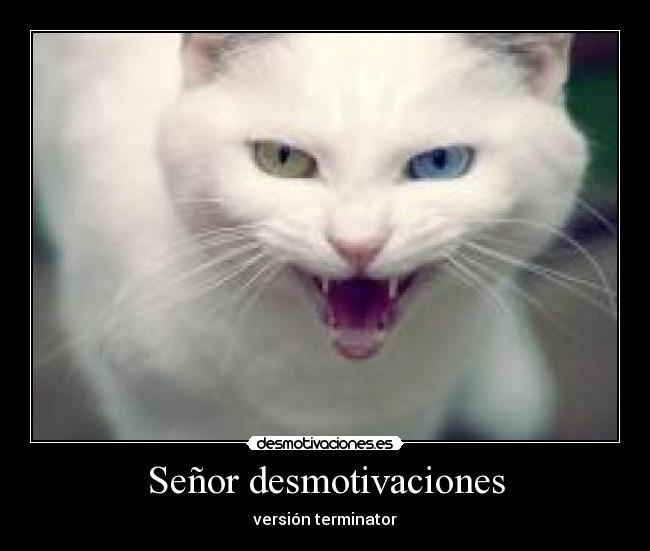 Señor desmotivaciones - 