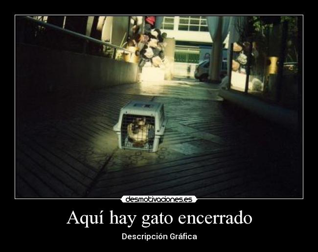 Aquí hay gato encerrado - 