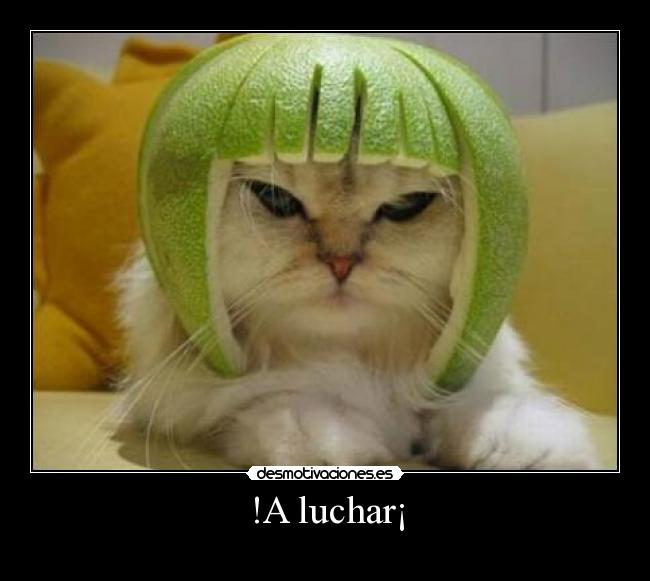 !A luchar¡ -