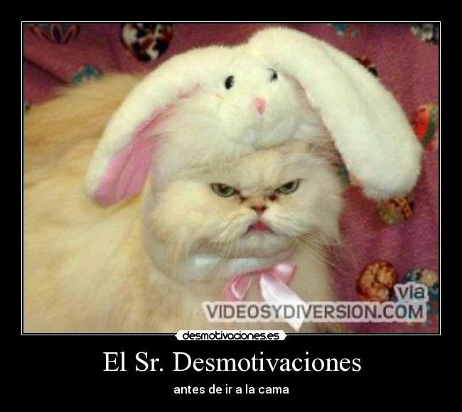 El Sr. Desmotivaciones -