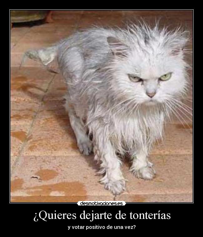 ¿Quieres dejarte de tonterías -