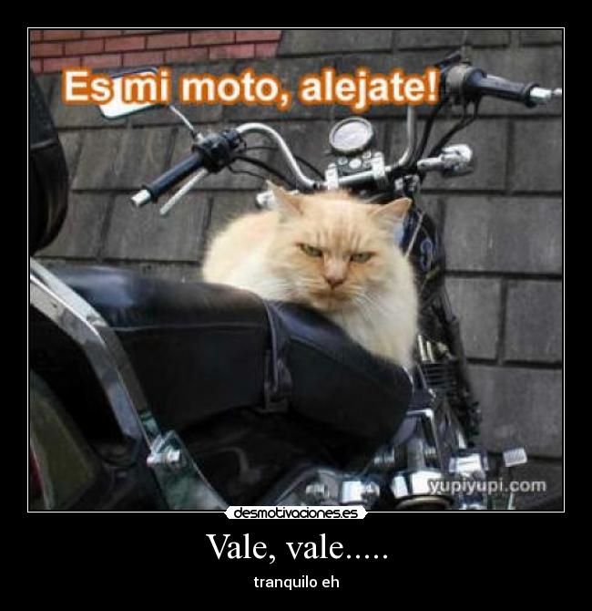 Vale, vale..... - 