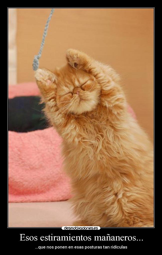 Esos estiramientos mañaneros... -