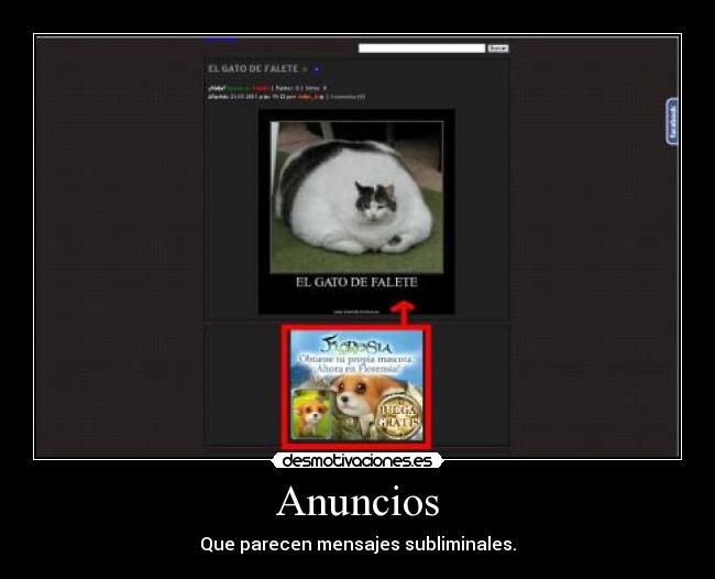 carteles anuncios mensajes desmotivaciones