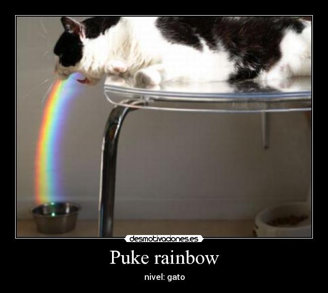 carteles gato desmotivaciones