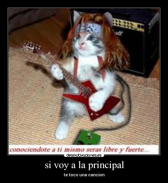 si voy a la principal - 