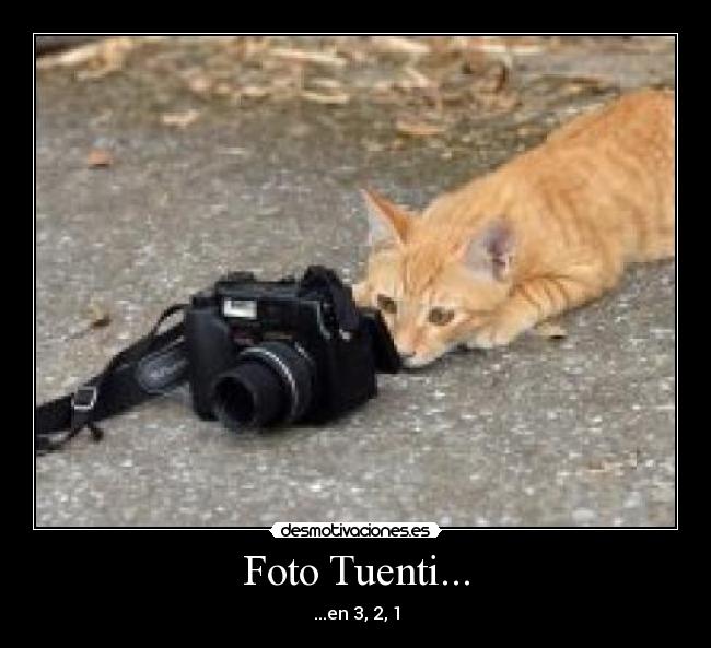 carteles tuenti desmotivaciones