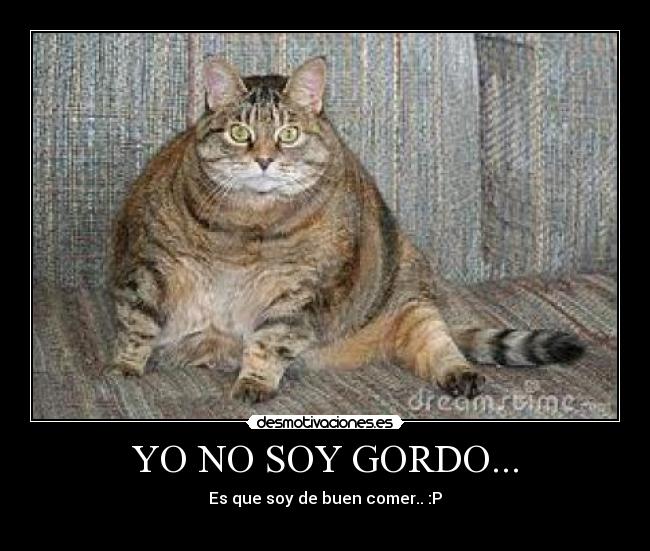 YO NO SOY GORDO... - Es que soy de buen comer.. :P