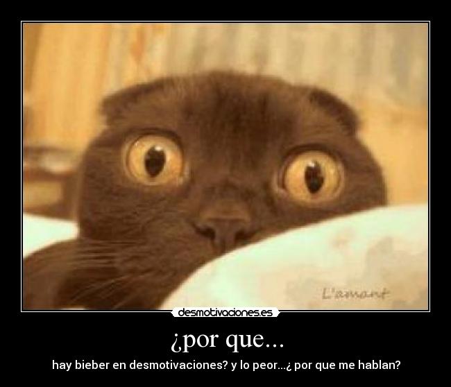¿por que... - hay bieber en desmotivaciones? y lo peor...¿ por que me hablan?