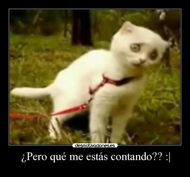 ¿Pero qué me estás contando?? :| -