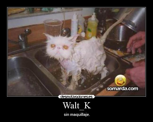 Walt_K - 